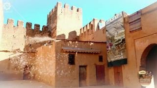 تارودانت تحتضن المعرض الإقليمي للصناعة التقليدية من 25 إلى 31 يناير 2025